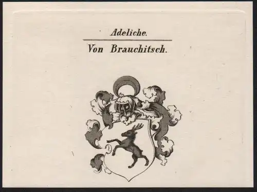 Adeliche Von Brauchitsch Wappen coat of arms Heraldik Kupferstich antique print