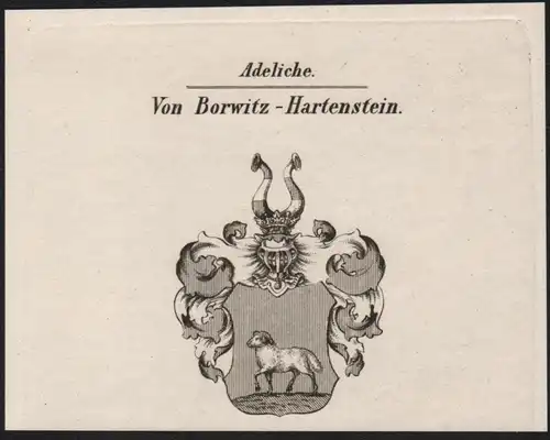 Adeliche Von Borwitz-Hartenstein Wappen coat of arms Heraldik Kupferstich antique print