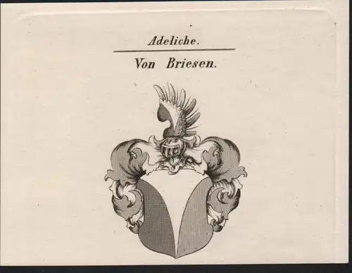 Adeliche Von Briesen Wappen coat of arms Heraldik Kupferstich antique print