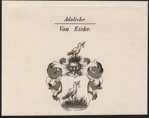Adeliche von Eicke Wappen coat of arms Heraldik Kupferstich antique print