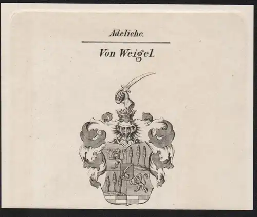 Adeliche Von Weigel Wappen coat of arms Heraldik Kupferstich antique print