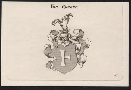 Von Gusner Wappen coat of arms Heraldik Kupferstich antique print