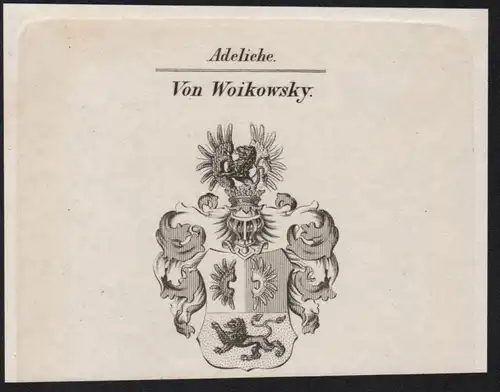 Adeliche Von Woikowsky Wappen coat of arms Heraldik Kupferstich antique print