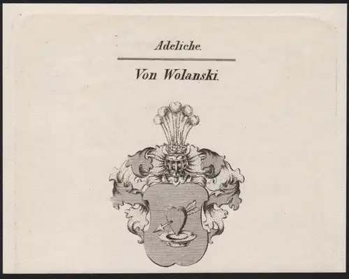Adeliche Von Wolanski Wappen coat of arms Heraldik Kupferstich antique print