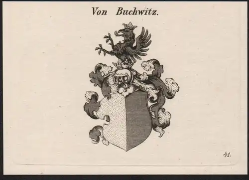 Von Buchwitz Wappen coat of arms Heraldik Kupferstich antique print
