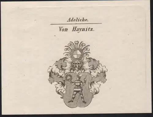 Adeliche von Haynitz Wappen coat of arms Heraldik Kupferstich antique print