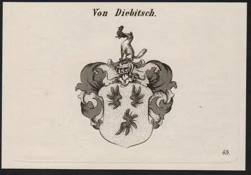 Von Diebitsch Wappen coat of arms Heraldik Kupferstich antique print