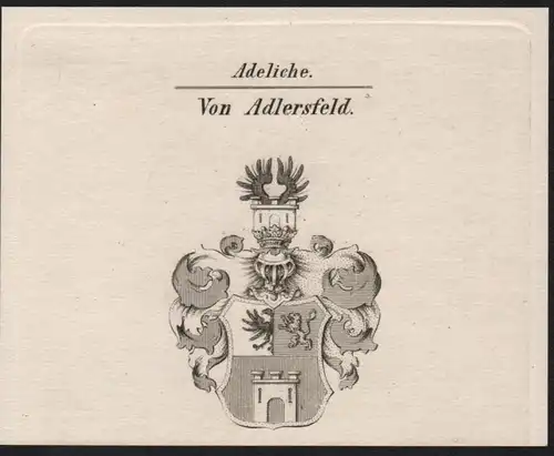 Adeliche Von Adlersfelf Wappen coat of arms Heraldik Kupferstich antique print