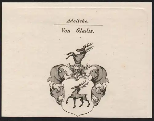Adeliche Von Gladis  -   Gladis Wappen coat of arms Heraldik Kupferstich antique print