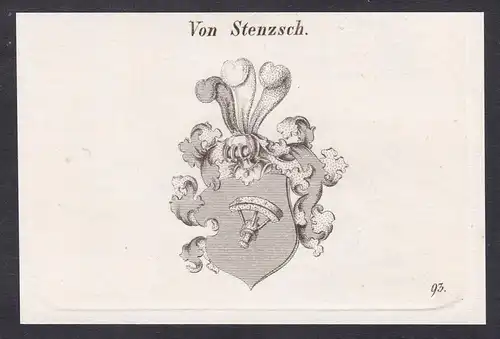 Von Stenzsch  -  Stenzsch Wappen coat of arms Heraldik Kupferstich antique print