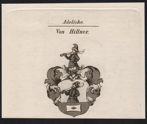 Adeliche Von Hillner  -   Hillner Wappen coat of arms Heraldik Kupferstich antique print