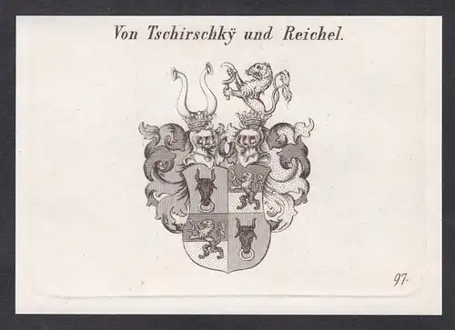 Von Tschirschky und Reichel  -  Tschirschky Tschirschki Reichel Wappen coat of arms Heraldik Kupferstich anti