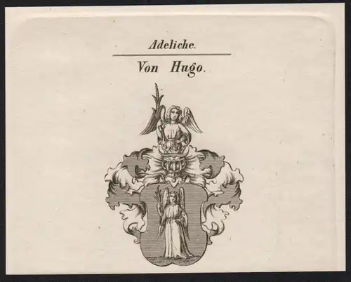 Adeliche Von Hugo  -   Hugo Wappen coat of arms Heraldik Kupferstich antique print