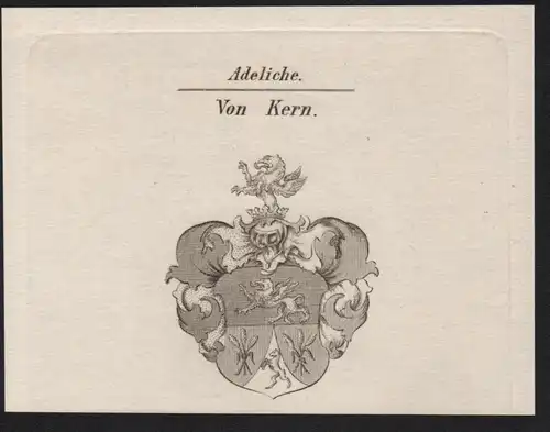 Adeliche Von Kern  -   Kern Wappen coat of arms Heraldik Kupferstich antique print