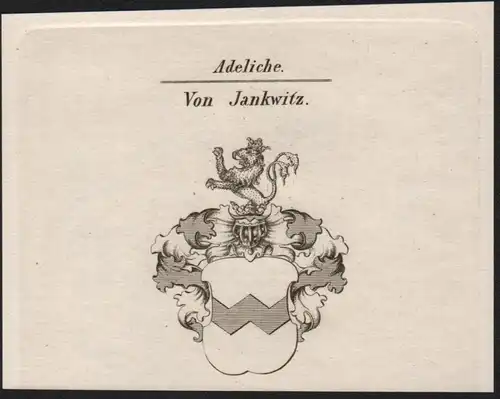 Adeliche Von Jankwitz  -   Jankwitz Wappen coat of arms Heraldik Kupferstich antique print
