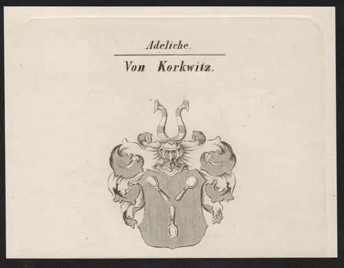 Adeliche Von Korkwitz  -   Korkwitz Wappen coat of arms Heraldik Kupferstich antique print
