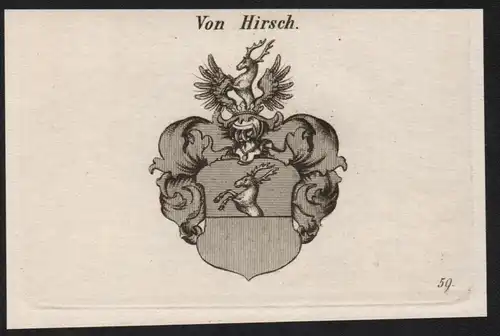 Von Hirsch Wappen coat of arms Heraldik Kupferstich antique print