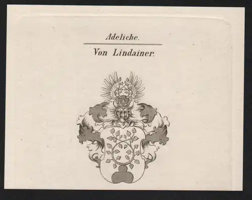Adeliche Von Lindainer  -   Lindainer Wappen coat of arms Heraldik Kupferstich antique print