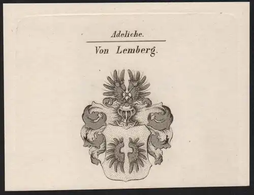 Adeliche Von Lemberg  -   Lemberg Wappen coat of arms Heraldik Kupferstich antique print