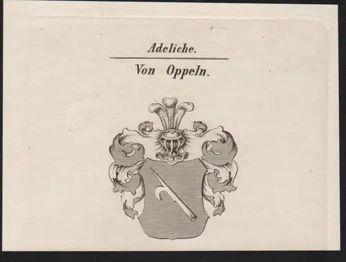 Adeliche Von Oppeln  -   Oppeln  Wappen coat of arms Heraldik Kupferstich antique print