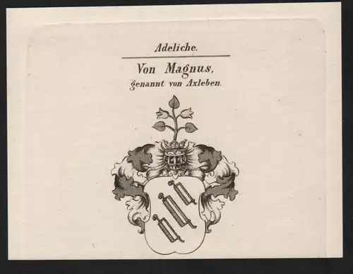 Adeliche Von Magnus, gennant von Axleben -   Magnus Axleben Wappen coat of arms Heraldik Kupferstich antique