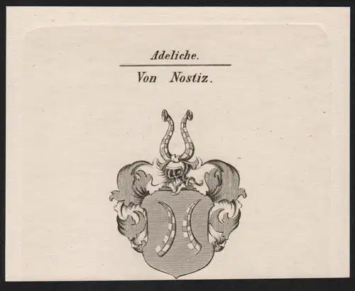 Adeliche Von Nostiz  -   Nostiz Wappen coat of arms Heraldik Kupferstich antique print