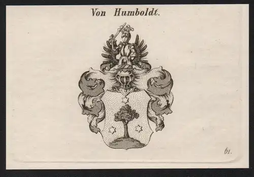 Von Humblodt Wappen coat of arms Heraldik Kupferstich antique print