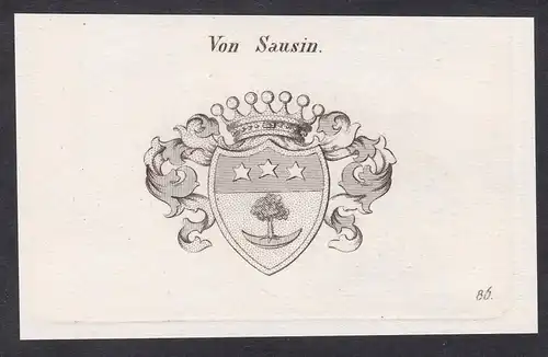 Von Sausin  -  Sausin Sausins Wappen coat of arms Heraldik Kupferstich antique print