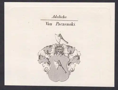 Adeliche von Paczenski  -  Paczenski Paczensky Wappen coat of arms Heraldik Kupferstich antique print