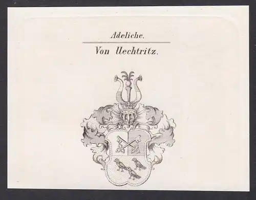 Von Uechtritz  -  Uechtritz Üechtritz Wappen coat of arms Heraldik Kupferstich antique print
