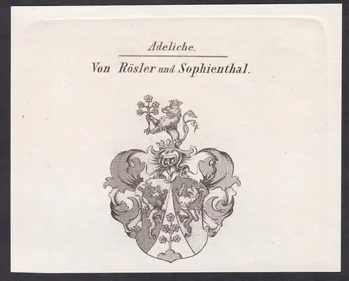 Adeliche von Rösler und Sophienthal  -  Rösler Roesler Rößler Sophienthal Wappen coat of arms Heraldik Kupfer