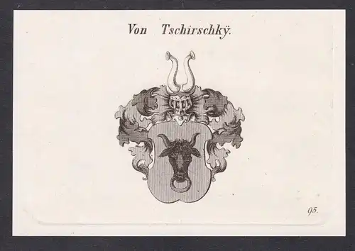 Von Tschirschky  -  Tschirschky Tschirschki Wappen coat of arms Heraldik Kupferstich antique print