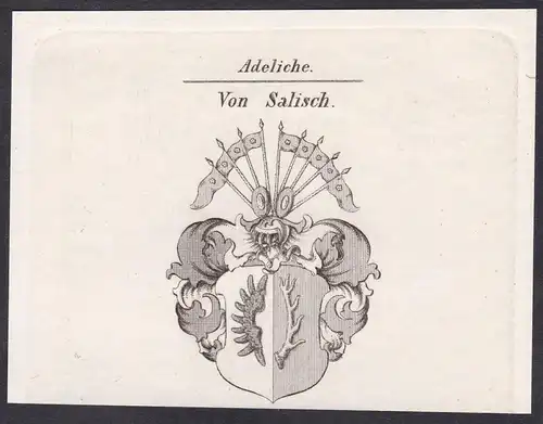 Adeliche von Salisch  -  Salisch Wappen coat of arms Heraldik Kupferstich antique print