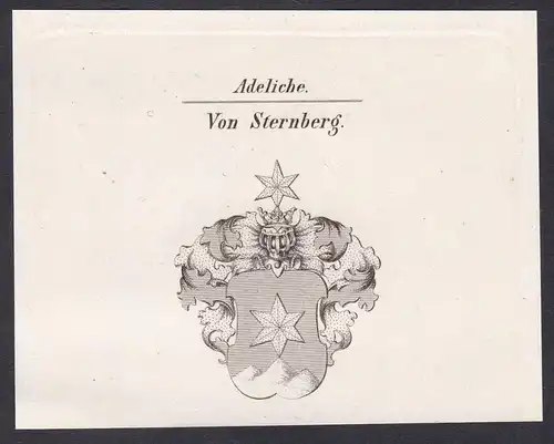 Adeliche von Sternberg  -  Sternberg Wappen coat of arms Heraldik Kupferstich antique print