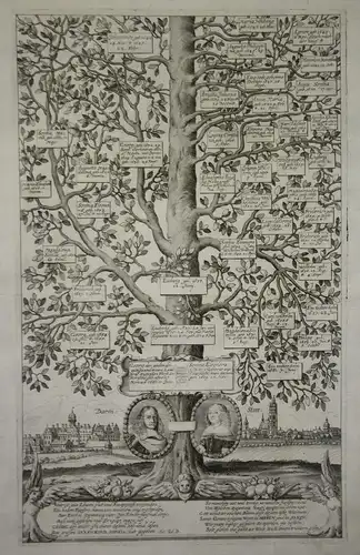 Darmstadt - Ansicht Stammbaum