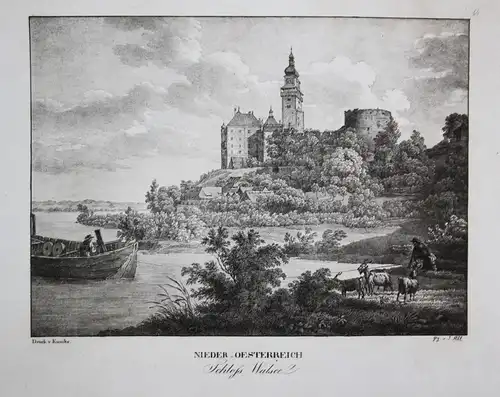 Schloss Walsee - Schloss Wallsee Sindelburg BZ Amstetten Niederösterreich Österreich Ansicht view