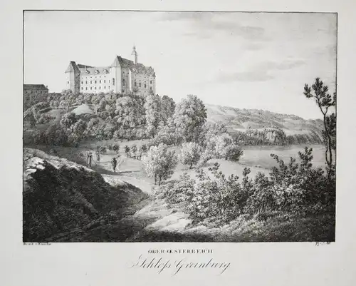 Schloss Greinburg - Schloss Greinburg Grein Strudengau Mühlviertel Oberösterreich Österreich Ansicht view