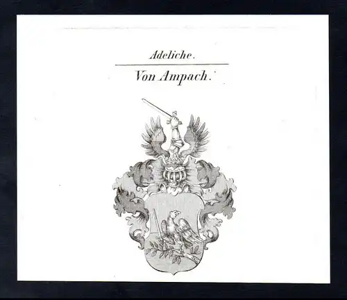 Adeliche Von Ampach  -  Ampach Wappen coat of arms Heraldik Kupferstich antique print