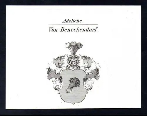 Adeliche Von Beneckendorf  -  Beneckendorf Beneckendorff Wappen coat of arms Heraldik Kupferstich antique pri