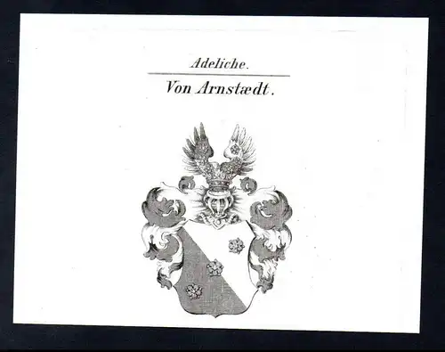 Adeliche Von Arnstaedt  -  Arnstaedt Arnstädt Arnstadt Wappen coat of arms Heraldik Kupferstich antique print