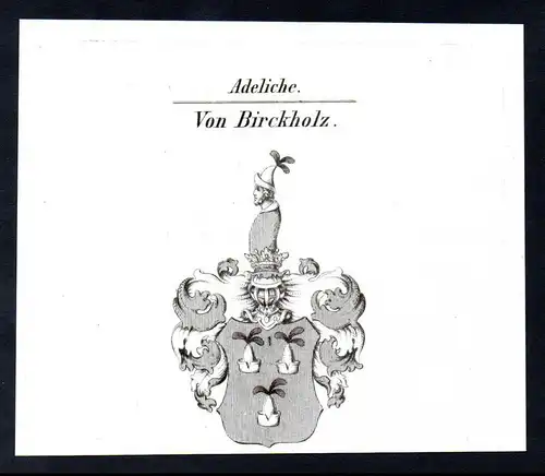 Adeliche Von Birckholz  -  Birckholz Birkholz Wappen coat of arms Heraldik Kupferstich antique print