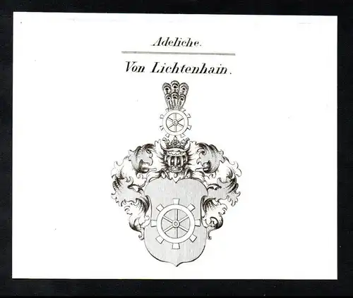 Adeliche Von Lichtenhain  -  Lichtenhain Wappen coat of arms Heraldik Kupferstich antique print