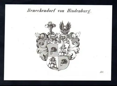 Von Beneckendorf von Hindenburg  -  Beneckendorf Beneckendorff Wappen coat of arms Heraldik Kupferstich antiq