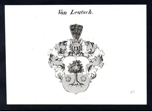 Von Leutsch  -  Leutsch Wappen coat of arms Heraldik Kupferstich antique print