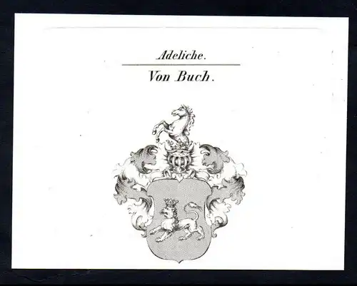 Adeliche Von Buch  -  Buch Wappen coat of arms Heraldik Kupferstich antique print