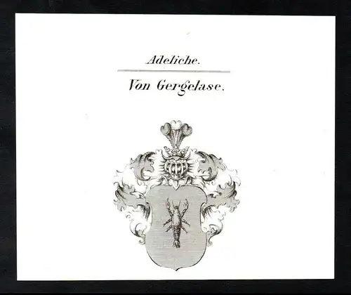 Adeliche Von Gergelase  -  Gergelase Gergelas Gergela Wappen coat of arms Heraldik Kupferstich antique print