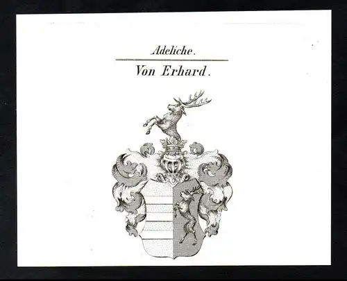 Adeliche von Erhard  -  Erhard Erhardt Wappen coat of arms Heraldik Kupferstich antique print