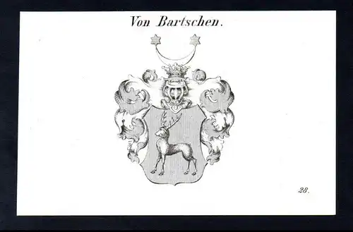 Von Bartschen - Bartschen Wappen coat of arms Heraldik Kupferstich antique print