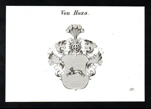 Von Haza  -  Haza Wappen coat of arms Heraldik Kupferstich antique print