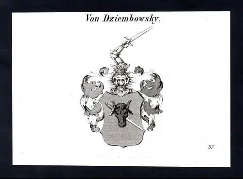 Von Dziembowsky  -  Dziembowsky Wappen coat of arms Heraldik Kupferstich antique print